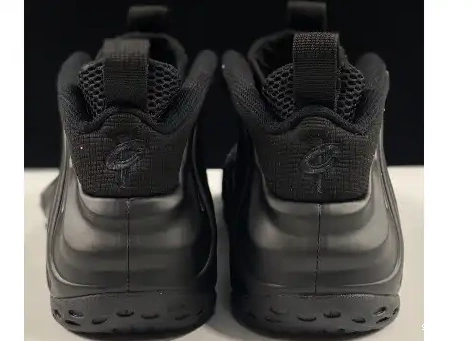 Anthracite 314996-001 Nike Air Foamposite One 0506